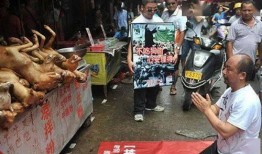 嘉善宠物店爆料事件最新