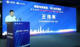 河北经济直播在线观看,直播带你领略发展风采