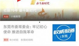 东莞新闻投稿爆料网站,聚焦城市脉搏，共绘发展新篇