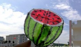 风筝在线观看西瓜,揭秘剧情高潮与情感纠葛