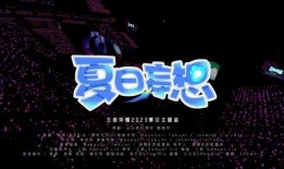 海岛娱乐网友爆料视频,神秘视频揭秘岛上游乐项目内幕