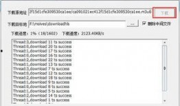 怎么进行爆料呢视频回放,如何通过视频回放进行有效爆料