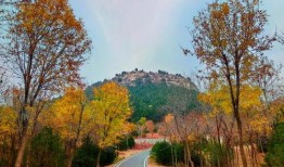 初冬爆料视频大全集,视频大全集精彩瞬间回顾