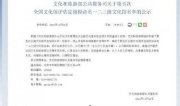 焦作新闻爆料电话号码,揭秘市民爆料背后的故事