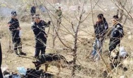 榆林榆河命案最新爆料,最新爆料揭示惊人真相