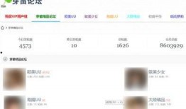 在哪搜索娱乐爆料视频号,一探视频号背后的精彩瞬间