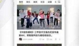 海岛娱乐网友爆料视频,神秘视频揭秘岛上游乐项目内幕