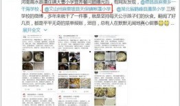 爆料家乡学校事件真相视频,视频揭露惊人内幕