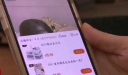 二狗最新爆料视频,揭秘娱乐圈惊人内幕！