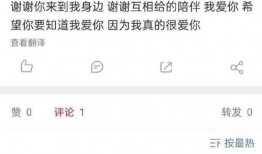 正泰圈内爆料,揭秘明星情侣背后的甜蜜与挑战