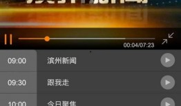 独家爆料新闻现场直播回放,揭秘新闻背后的真相