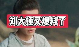 刘大锤爆料娱乐圈男艺人,揭秘明星背后的真实生活