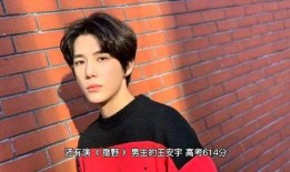 王安宇高中爆料视频