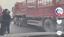 货车爆料主播视频播放,揭秘热门视频背后的真实故事