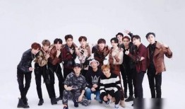 贼王最新爆料新闻视频下载,揭秘犯罪团伙内幕，视频曝光惊人细节